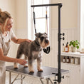 Charger l'image dans la visionneuse de la galerie, Dog Grooming Arm with Clamp, Adjustable Foldable Dog Grooming with 2 Loop Noose for Small and Medium Breeds, 18.9" -32.3", Black