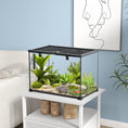 Load image into Gallery viewer, Glass Reptile Terrarium Insect Breeding Tank Vivarium Habitats with Thermometer for Lizards, Horned Frogs, Snakes, Spiders - Large 50 x 30 x 35cm