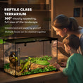Load image into Gallery viewer, Glass Reptile Terrarium Insect Breeding Tank Vivarium Habitats with Thermometer for Lizards, Horned Frogs, Snakes, Spiders - Large 50 x 30 x 35cm