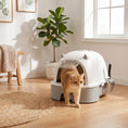 Load image into Gallery viewer, Stainless Steel Cat Litter Box, Large Hooded Kitty Litter Box with Removable Lid, Scoop & Carbon Filters for Medium Cats, Easy to Clean, No Leakage, No Odors, Gray