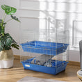 Load image into Gallery viewer, PawHut 2-Tier Guinea Pig Cage, Ferret Cage, Chinchilla Cage, Small Animal Cage Indoor with Dish and Bottle, 2 Doors, Deep Bottoms, Ramp, 28", Blue