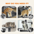 Load image into Gallery viewer, 63" Cat Tree, Cat Tower for Indoor Cats with Scratching Posts, Cat Condos, Bed, Platforms, Ramp, Toy Ball, Cat Activity Center, Dark Grey