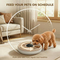 Charger l'image dans la visionneuse de la galerie, 6 Meal Automatic Cat Feeder, Cordless Timed Feeder for Dry and Wet Food, Cat Dog Food Dispenser with 1 Ice Pack, Battery Powered with LED Display, for Kitty and Small Dogs