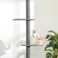 Load image into Gallery viewer, PawHut Floor-to-Ceiling Cat Tree Cat Climbing Tower with Sisal-Covered Scratching Posts Natural Cat Tree Activity Center for kittens Cat tower furniture, Grey
