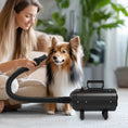 Load image into Gallery viewer, Dog Hair Dryer, 2200W Pet Grooming Hair Dryer with Adjustable Temperature & Velocity, Professional Low Noise Dog Blaster with 3 Different Nozzles, Black