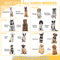 Load image into Gallery viewer, PawHut Whelping Box for Dogs with Retractable Light Stand, Waterproof Mat for Puppies with Pig Rail, Adjustable Height Door for Small, Medium & Large Breed Dogs, 49" x 48"