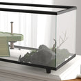 Load image into Gallery viewer, Turtle Tank, 50L Glass Turtle Aquarium with Basking Platform, Ramp, Easy Drainage, Strip Patch Thermometer, for Small Turtles, 60 x 30 x 32cm