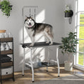 Charger l'image dans la visionneuse de la galerie, 35in Dog Grooming Table with Adjustable Arm, Foldable Pet Grooming Table with Mesh Tray, Two Nooses, Rubber Surface, 35" x 24" x 61", Black