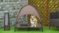 Load and play video in Gallery viewer, 36" Elevated Dog Bed, Outdoor Raised Mesh Pet Cot w/ Removable Canopy, Carrying Bag, Coffee