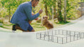 Load and play video in Gallery viewer, 24 Panel Dog Fence for Small and Medium Dogs with Lockable Door, 15.7' x 15.7' x 2.6'