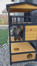 Load and play video in Gallery viewer, 3-Tier Wooden Cat House w/ Tilted Roof, Terrace, Jump Step, Tray, Waterproof Paint, Yellow