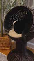 Load and play video in Gallery viewer, Elevated Rotating Egg Chair Cat Bed with Thick Cushion & Grass Mat, Coffee