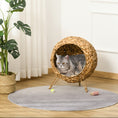 Load image into Gallery viewer, PawHut 20.5" Weaved Cat Bed, Elevated Hand-woven Braided Banana Leaf Kitten House Condo with Cushion, Natural