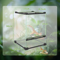 Load image into Gallery viewer, Glass Reptile Terrarium, 12L Vivarium for Lizards, Frogs, Snakes, Turtles, Tortoises, with Ventilation, 20 x 20 x 30cm