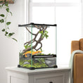 Load image into Gallery viewer, Glass Reptile Terrarium, 12L Vivarium for Lizards, Frogs, Snakes, Turtles, Tortoises, with Ventilation, 20 x 20 x 30cm