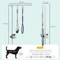 Load image into Gallery viewer, Foldable Pet Grooming Arm w/ Clamp 30 Inch Height Adjustable, Dog Grooming Loop, Two No Sit Haunch Holders for Small Medium Dogs, Sliver