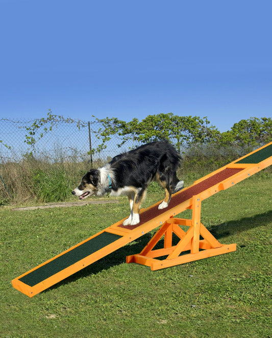 seesaw wooden