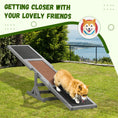 Load image into Gallery viewer, Wood Pet Seesaw Platform Dog Agility Training Equipment Run Game Toy Weather Resistant Pet Supplies Grey