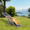 Load image into Gallery viewer, PawHut Wooden Dog Agility Seesaw for Training and Exercise, Platform Equipment Run Game Toy, Weather Resistant Pet Supplies, 71" L x 12" W x 12" H, Gray