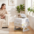 Load image into Gallery viewer, Cat Litter Box with Lid, Enclosed Cat Litter Box with Deodorization Bag & Drawer Pan, High Sides & Flip-to-Clean, Multi-Entry Design, Odor Control, Yellow