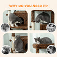Charger l'image dans la visionneuse de la galerie, Cat Tree for Large Cat Adults, 52 Inch Cat Tower for Indoor Cats w/ Scratching Posts, Cat Bed, Condo, Jumping Platforms, Toy Balls, Anti-tip Kit, Leopard Print