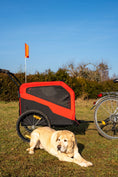 Load image into Gallery viewer, 2 in 1 Dog Bike Trailer with Hitch & Quick-release Wheels Red