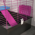 Load image into Gallery viewer, Guinea Pig Cage Chinchillas Rabbit Small Animal Cage with Ramp, Dish, Water Bottle, 71 x 46 x 47cm, Black