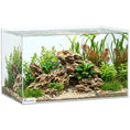 Load image into Gallery viewer, 43L Fish Tank, Glass Aquarium, Small Fish Tank with Protective Base Mat, for Shrimps, Turtles, Transparent, 50 x 30 x 30 cm