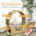 Load image into Gallery viewer, PawHut Cat Wheel for Indoor Cats, 31 Inch Cat Exercise Wheel, Cat Treadmill with Brake, Cat Running Wheel for Fitness & Healthy, Oak