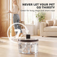 Load image into Gallery viewer, Wireless Cat Water Fountain for Drinking Stainless Steel, 4L/135oz Large Battery Operated Cat Fountain Cordless, Ultra-Quiet Pet Water Dispenser with Motion Sensor, 6 Filters, Rechargeable