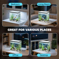 Load image into Gallery viewer, Fish Tank, 14L Glass Aquarium with Filter System, LED Lights, Water Pump, Betta Fish Tank for Goldfish, Shrimps, White