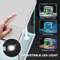 Load image into Gallery viewer, Fish Tank, 14L Glass Aquarium with Filter System, LED Lights, Water Pump, Betta Fish Tank for Goldfish, Shrimps, White