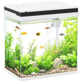 Load image into Gallery viewer, Fish Tank, 14L Glass Aquarium with Filter System, LED Lights, Water Pump, Betta Fish Tank for Goldfish, Shrimps, White