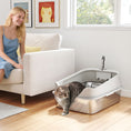 Load image into Gallery viewer, Cat Litter Box Stainless Steel, High Sided with Metal Litter Scoop, Never Absorbs Odors, Anti Leakage & Easy to Clean, 24" x 16" x 12", Grey