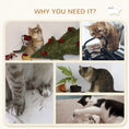 Load image into Gallery viewer, 4Pcs Wall Mounted Cat Shelves, with Hammock, Perches, Ladder, Scratching Post, Cat Wall Furniture for Large Cats, Grey