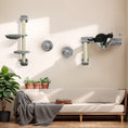 Load image into Gallery viewer, 4Pcs Wall Mounted Cat Shelves, with Hammock, Perches, Ladder, Scratching Post, Cat Wall Furniture for Large Cats, Grey