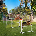 Load image into Gallery viewer, Dog Agility Equipment Training Height Adjustable Jumps Hurdle 4 Pieces with Carrying Bag for Outdoor, White