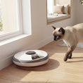 Load image into Gallery viewer, 6 Meal Automatic Cat Feeder Cordless, Dry & Wet Food Cat Food Dispenser with 1 Ice Pack, Battery Powered, Programmable Timer, for Kitty Small Dogs, Easy to Clean