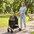 Load image into Gallery viewer, Dog Stroller, 3 in 1 Foldable Pet Stroller for Small Puppy Cat with Detachable Travel Carrier, 4 Wheels Dog Pram with Storage Basket, Seat Leashes, Mesh Window, Black