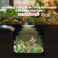 Load image into Gallery viewer, Glass Reptile Terrarium Insect Breeding Tank Vivarium Habitats with Thermometer for Lizards, Horned Frogs, Snakes, Spiders - Small 30 x 30 x 20cm
