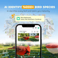 Load image into Gallery viewer, Bird Feeder with Camera, Smart Bird Feeder Camera AI Identifies 16,000+ Species, 2K HD Auto Capture Video, APP Instant Notifications, Hummingbird Feeding Add-ons, 3W Solar Panel, 32GB Card