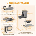 Load image into Gallery viewer, Cat Wall Shelves, 4 Pcs Cat Wall Furniture Climber Set with Scratching Post & Pad, Condo, Hammock, Bed, Step, Hanging Pompoms, Perches, for Kitty Climbing, Sleeping, Playing