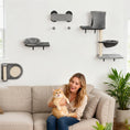 Load image into Gallery viewer, Cat Wall Shelves, 4 Pcs Cat Wall Furniture Climber Set with Scratching Post & Pad, Condo, Hammock, Bed, Step, Hanging Pompoms, Perches, for Kitty Climbing, Sleeping, Playing