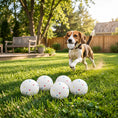 Load image into Gallery viewer, 6 Pack Dog Balls Toys Fits Aggressive Chewers, Indestructible Teething and Water ETPU Balls for Throw and Fetch, High Bounce Interactive Toys for Small and Medium Dogs, 5.8cm/2.3Inch