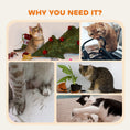 Charger l'image dans la visionneuse de la galerie, Cat Tree, Small Cat Tower with Perch, Scratching Post, Pet Condo, Toy Ball for Kitty, Indoor Use, Leopard Print
