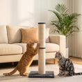 Load image into Gallery viewer, Cat Scratching Post, 80cm Tall Cat Scratch Post with Sisal Rope, Plush Base, Lightweight Claw Scratcher for Indoor Kittens, Dark Grey