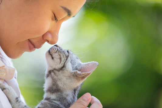 The owner interacts with the cat.