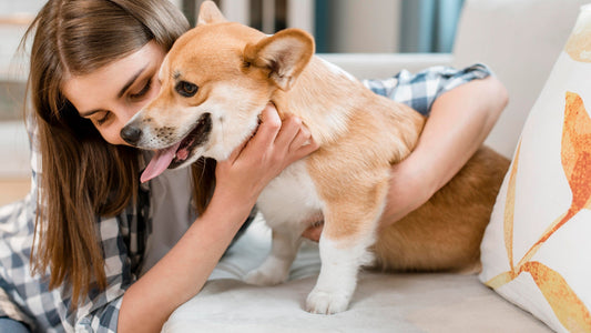 Why Do My Dog’s Paws Smell Like Popcorn?