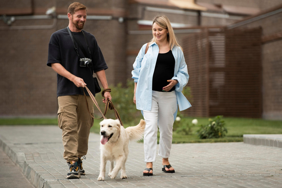 How to Stop Your Dog Pulling on the Leash