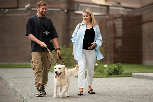 How to Stop Your Dog Pulling on the Leash